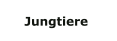 Jungtiere