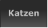 Katzen