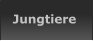 Jungtiere