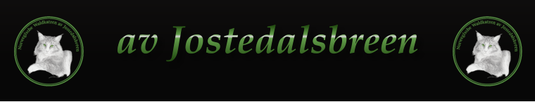 av Jostedalsbreen